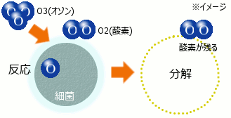 オゾンによる除菌の模式図